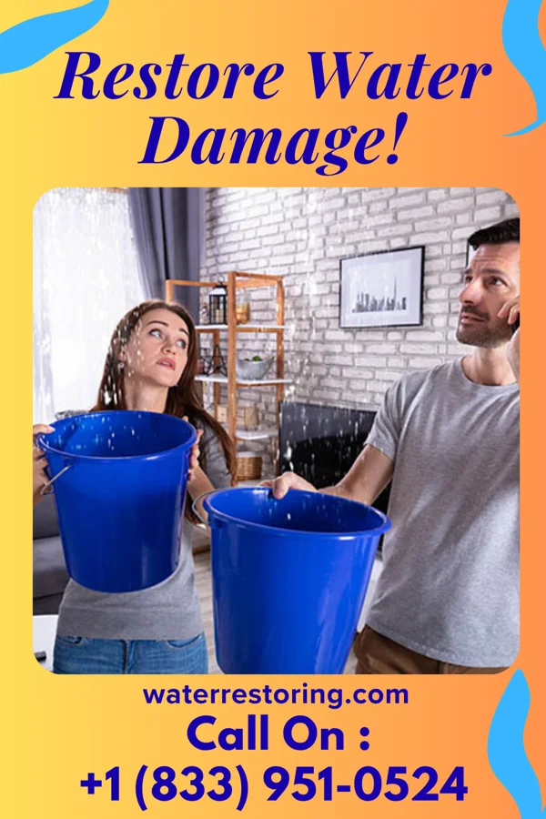water restoration Capital Drying Services Martinsburg